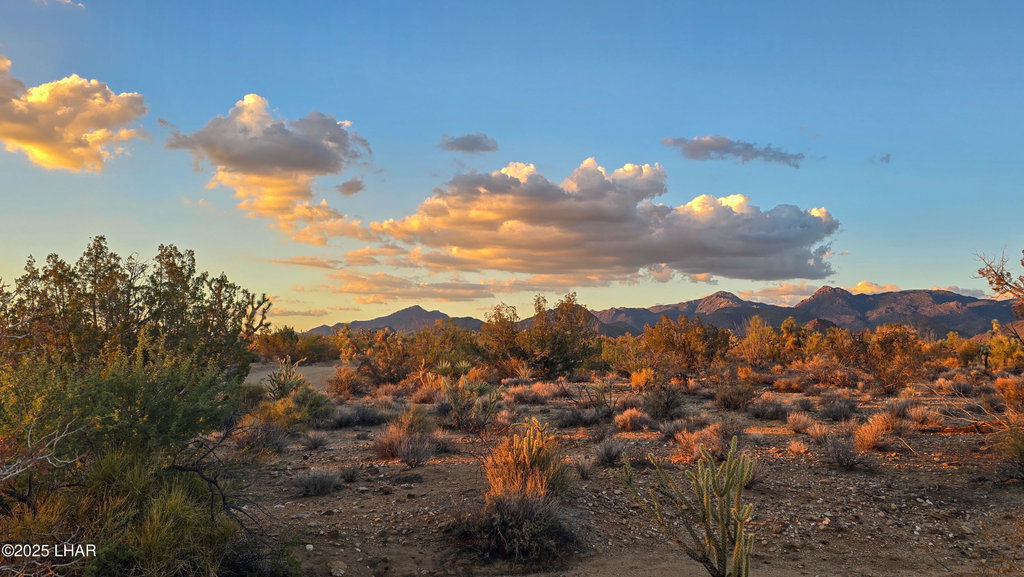 Image Unavailable