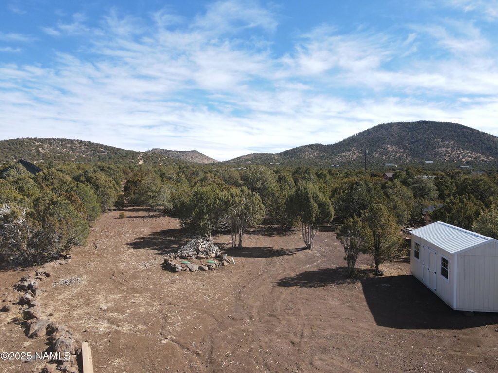 Media Image 1