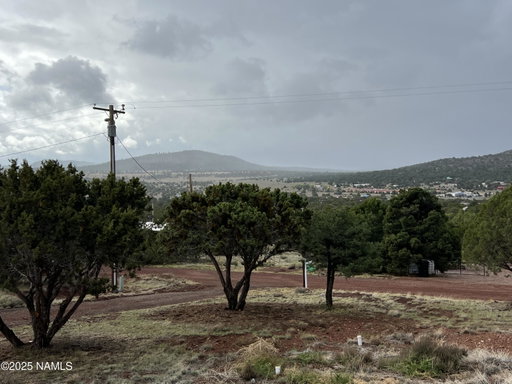 Media Image 2