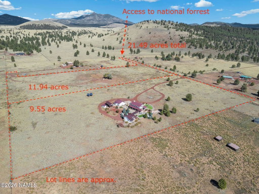 Media Image 3