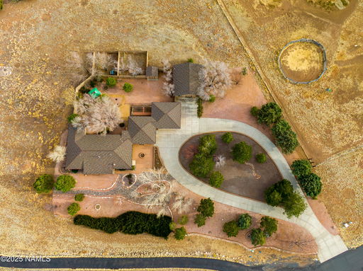 Media Image 3