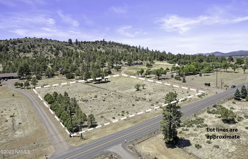 Media Image 3