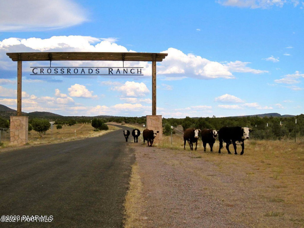 Image Unavailable