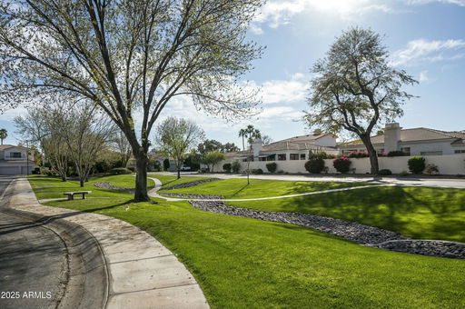 Media Image 3