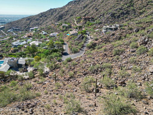 Media Image 2