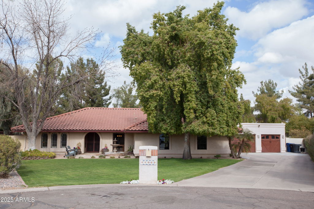 Media Image 1