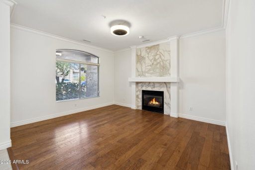 Media Image 3