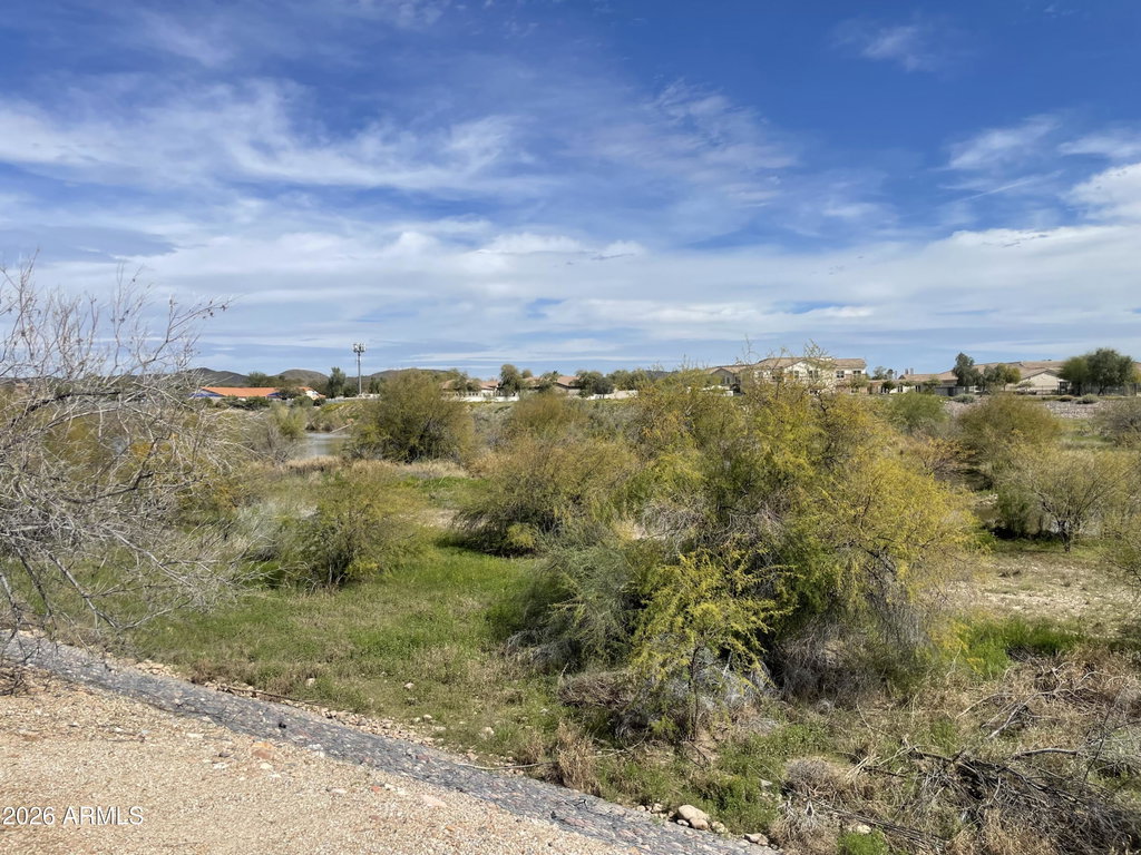 Media Image 1