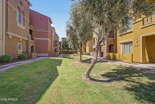 Media Image 2