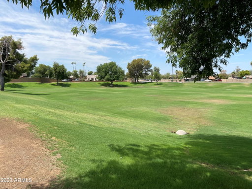 Media Image 3
