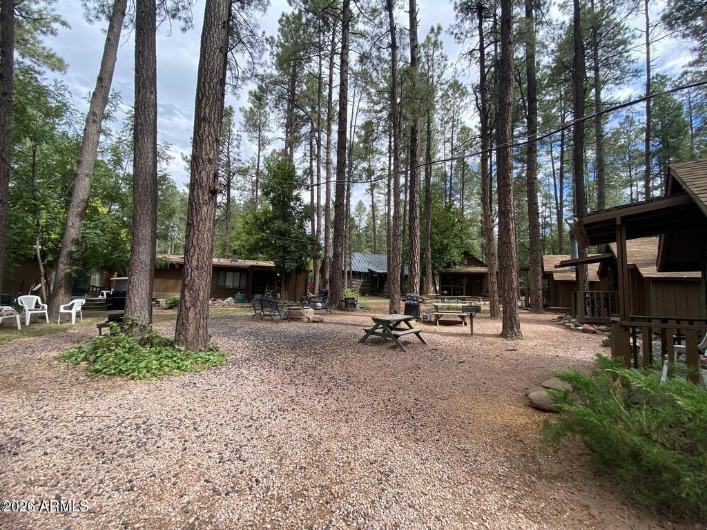 Media Image 1