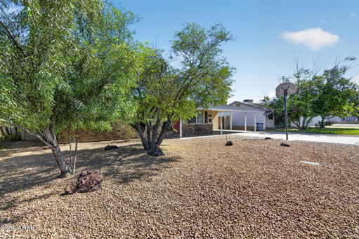 Media Image 2