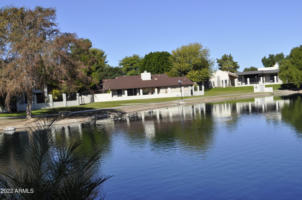 Media Image 1