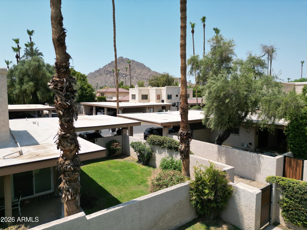 Media Image 1