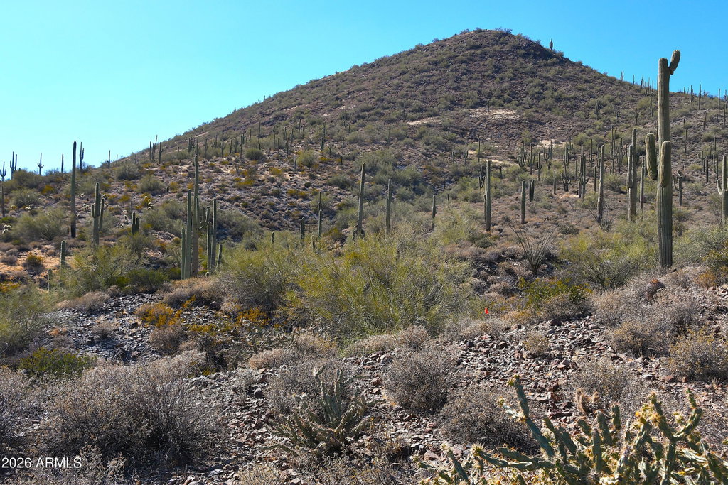 Media Image 1