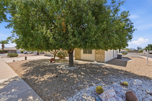 Media Image 3