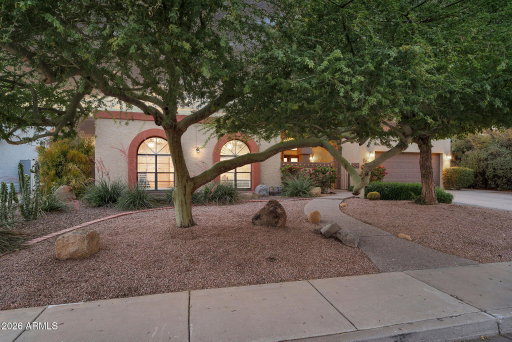Media Image 3