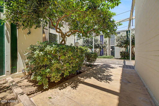 Media Image 3
