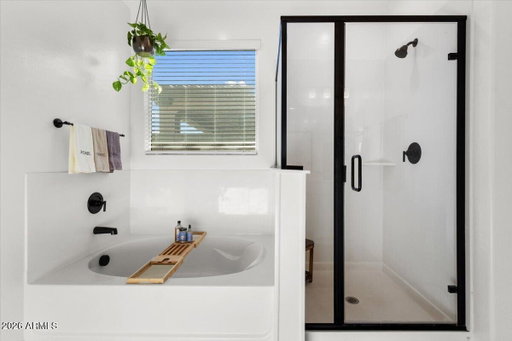 Media Image 2