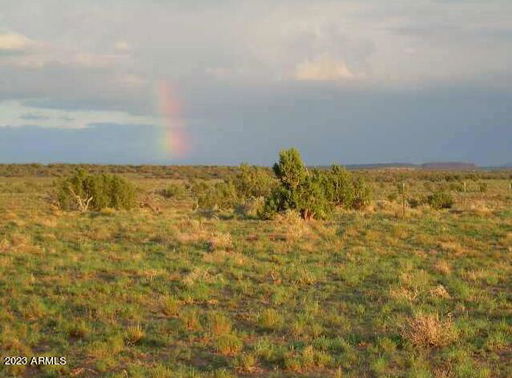 Media Image 2