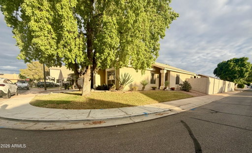 Media Image 3