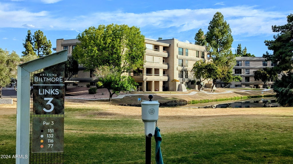 Media Image 1