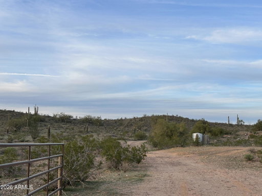 Media Image 2