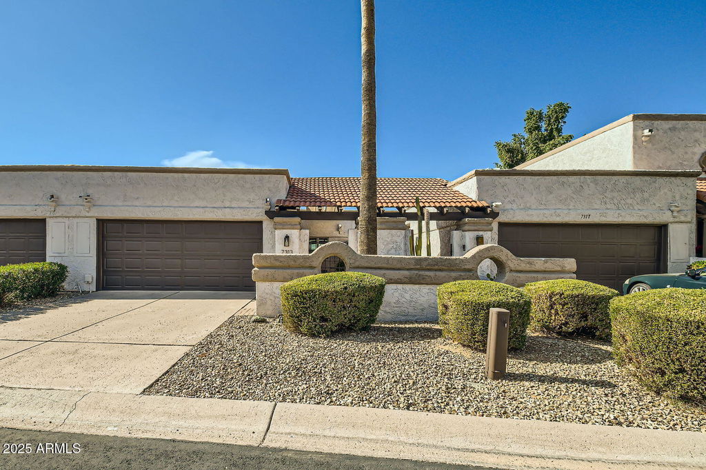 Media Image 1