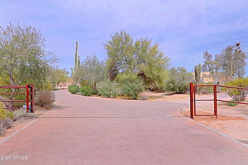 Media Image 3