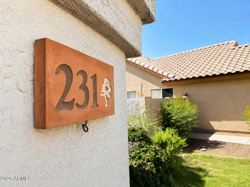 Media Image 2
