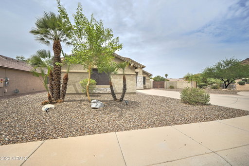 Media Image 3
