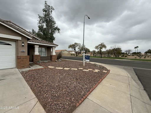 Media Image 3