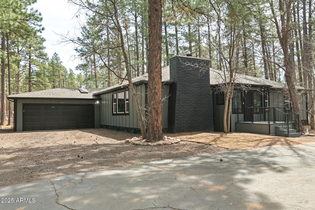 Media Image 1