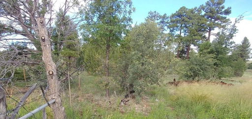 Media Image 2