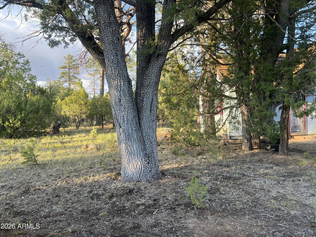 Image Unavailable