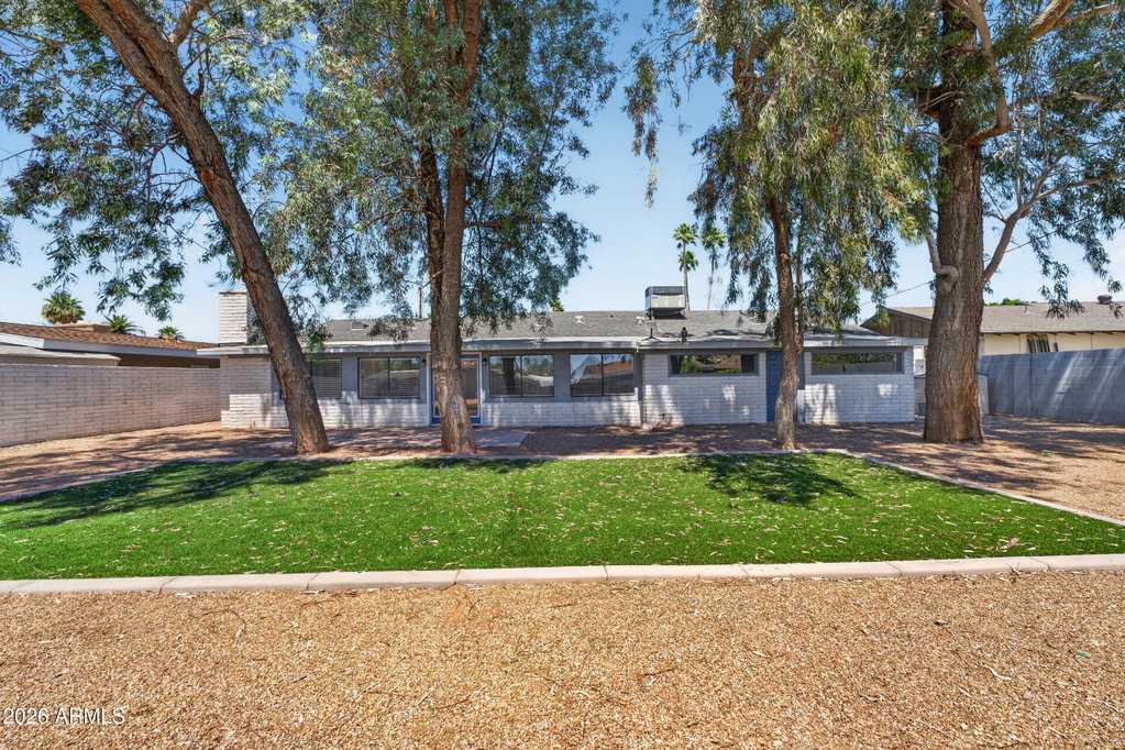 Media Image 1