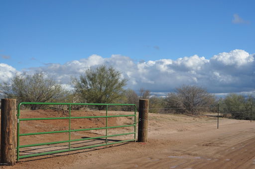 Media Image 2