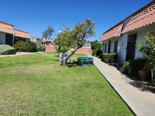 Media Image 3