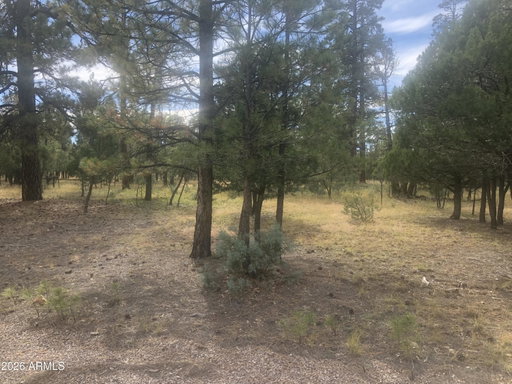 Media Image 3