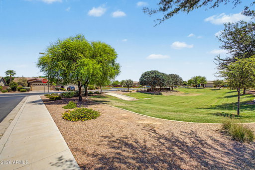 Media Image 2