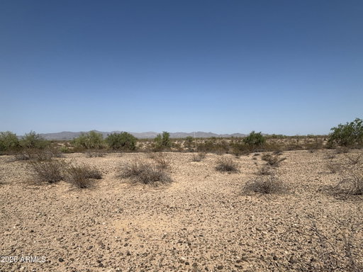 Media Image 2