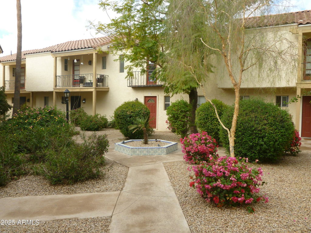 Media Image 1
