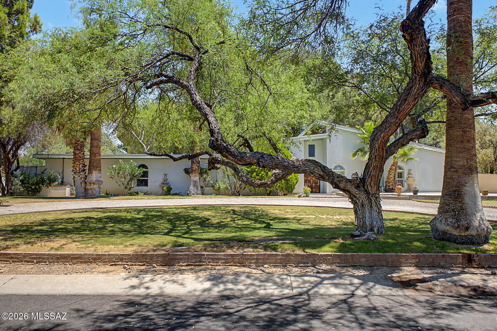 Media Image 1