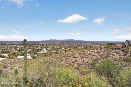 Media Image 3