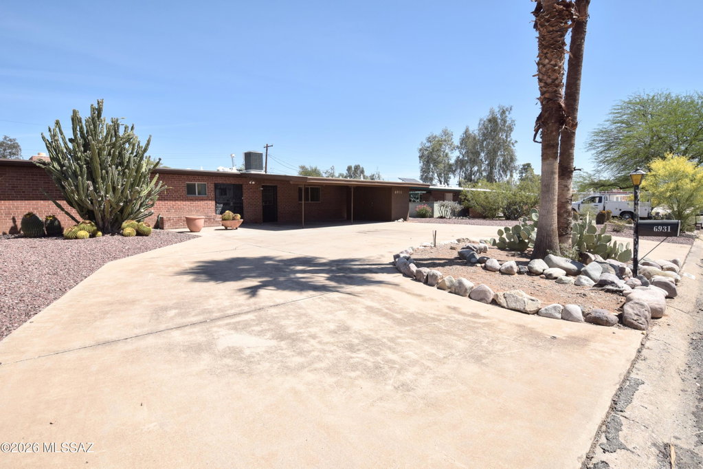 Media Image 1