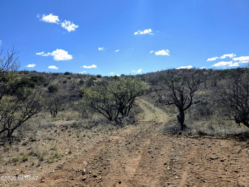 Media Image 2
