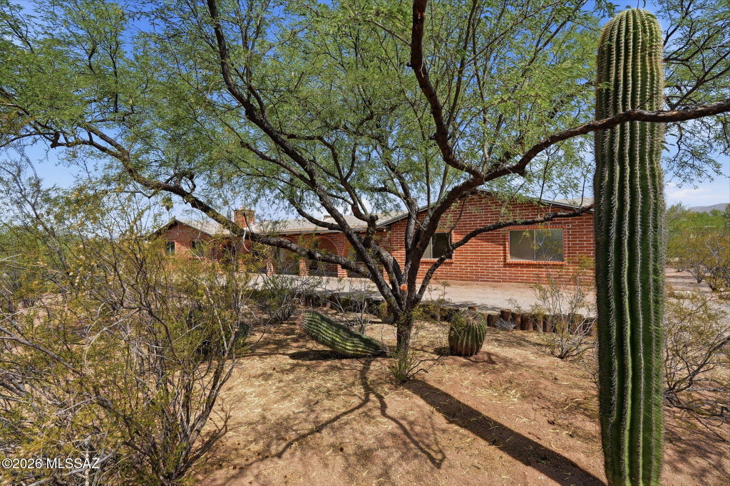 Media Image 1