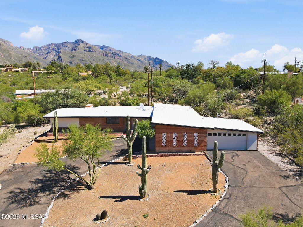 Media Image 1