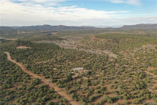 Media Image 3