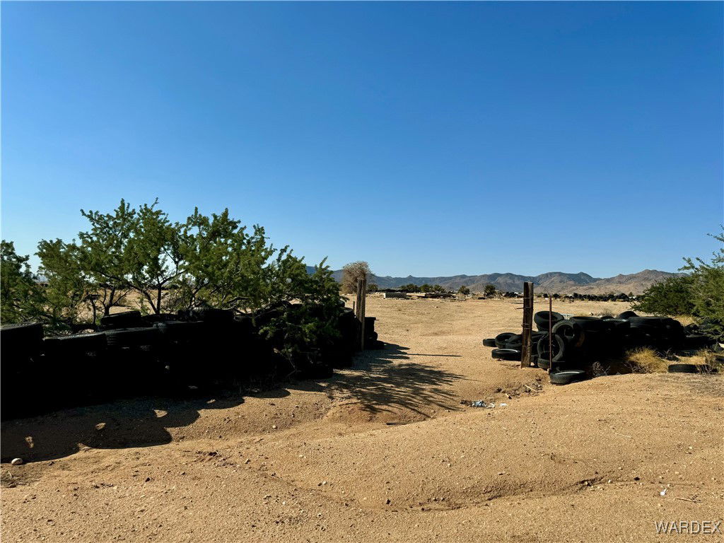 Media Image 1